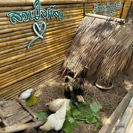 Greenheart Garden View Camp Phuket หาดกะตะ ภายนอก รูปภาพ